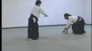 Advanced Aikido Techniques Part 2 [upl. by Ahsias]