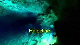 Halocline  What is Halocline [upl. by Kcire]