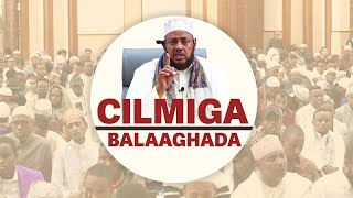 Cilmiga Balaaghada 06 Jawharul Maknuun  BBS MOSQUE  Sh Shariff Dhawiil [upl. by Broderic]