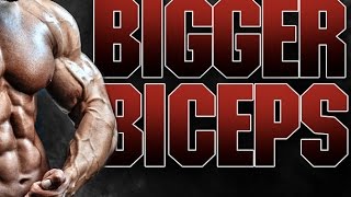 How To Build Bigger Biceps with the Athlean X Biceps Blast [upl. by Adoc]