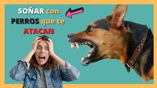 🐶😨 que Significa SOÑAR con PERROS que te ATACAN 😭🔴😱 [upl. by Notloc]