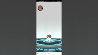 Scatterbug Evolved Pokémon Go mystic7 pokemon shortsvideo [upl. by Froehlich]