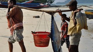 FISHING ROUTINE ❤️🐠 [upl. by Norrad]