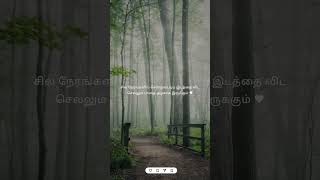 Nan varainthu vaitha oviyam tamil whatsapp status ♥️ [upl. by Aday]