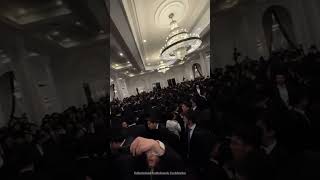 Mendy Hershkowitz 🎹 Shloimy Daskal Yidi Bialostozky 🎤 Yedidim Choir [upl. by Hardej]