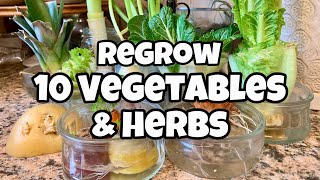 10 Vegetables You Can Regrow from Kitchen Scraps  Get FREE SEEDS [upl. by Kaliope888]