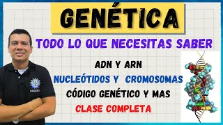 GENETICA CROMOSOMAS ADN Y ARN CODIGO GENETICO NUCLEOTIDOS MUTACIONES BASES NITROGENADAS [upl. by Horace938]