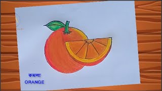 Orange fruit drawing tutorial Orange how to draw orange [upl. by Michaeu]