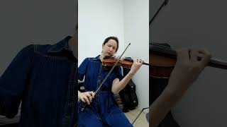 Tchaikovsky  Black Swan Swan Lake Violin Coverquot  Part 2 [upl. by Alrich]