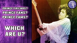 Prince Friend Fan or Fam Which are you [upl. by Goodrich]