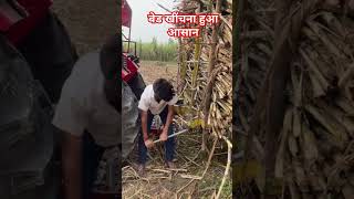 बेड खींचना हुआ अब आसान agriculture farming tractor [upl. by Suoilenroc]