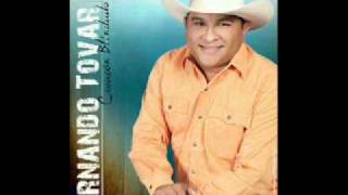 fernando tovar  dignidad [upl. by Akirdnahs]