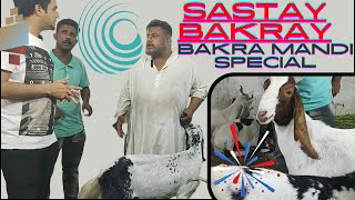 Bakra Mandi 2024  Latest Update  Sastay Bakray  Arif Ghani World [upl. by Sonaj80]