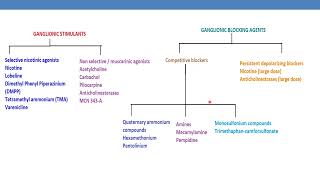 Classification of Ganglionic stimulants amp blocking agents [upl. by Witt]