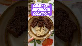 Candy Cap Mushroom Cookies [upl. by Abbot]