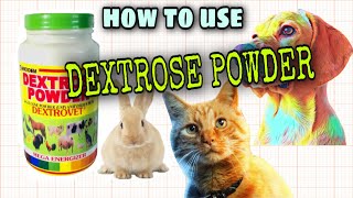 HOW TO USE DEXTROSE POWDER AND ITS BENEFITS TO PETS dextrosepowder [upl. by Delmer]