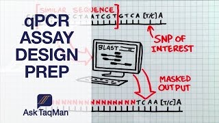 qPCR Assay Design Prep  Ask TaqMan 36 [upl. by Neitsabes]