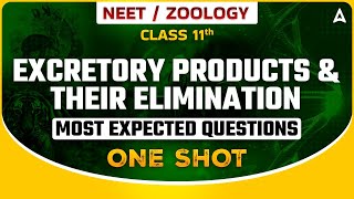 EXCRETORY PRODUCTS amp THEIR ELIMINATION ONE SHOT  BIOLOGY MOST EXPECTED QUESTIONS FOR NEET SANKALP [upl. by Hartwell684]