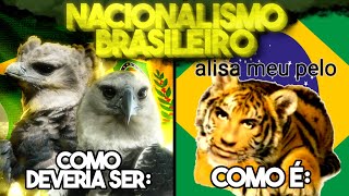 INTANKAVEL O NACIONALISMO BOSTILEIRO [upl. by Jacquetta492]