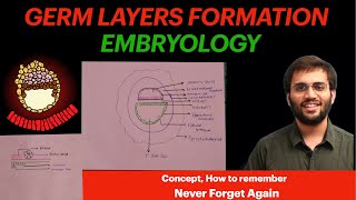 Germ Layer Embryology  Gastrulation Video [upl. by Sunderland]