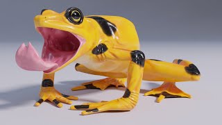 Panamanian Golden Frog [upl. by Enra]