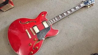 Washburn HB 35 Hollowbody Electric guitar review by Alex Old School [upl. by Iak]