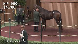 Tuz Sells at Keeneland September [upl. by Alius501]