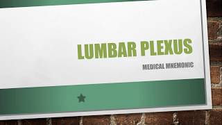 Lumbar Plexus Mnemonic [upl. by Dacie28]