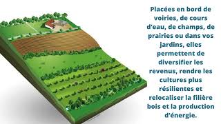 Et si nous produisions notre propre énergie [upl. by Jarrod491]