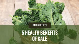 5 Health Benefits Of Kale  Why Kale Is Superfood  Health Lifestyle [upl. by Xxam]