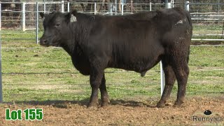 Lot 155 Rennylea NOR23U1032 [upl. by Aerdna558]