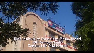 Campus Life  BIT Noida [upl. by Gracia]