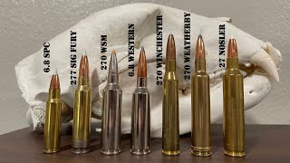 Complete guide to 270 Caliber Cartridges  270 Win 270 WSM 270 Weatherby 68 Western amp More [upl. by Epoillac]