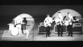 The Ventures 1966 [upl. by Nolyk923]