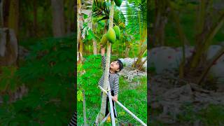 Ohh we are hungry papaya🤤👍shortvideo shorts [upl. by Rufena]