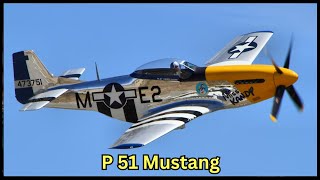 P 51 Mustang 🛩️ [upl. by Marfe661]