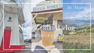 【NZ Vlog】はじめてのアカロア｜クライストチャーチから日帰りロードトリップ🚙｜ワーホリアラサー女子たちのプチ旅行✨｜我らのイースターホリデー🐰 [upl. by Ydnew]