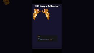 Image reflection in CSS css webdesign [upl. by Tessie781]