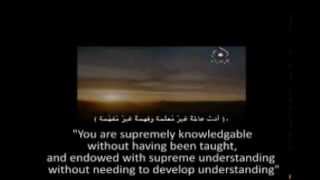 Ziyarat of Syeda Zainab s  with ArabicEng Subtitles [upl. by Aronek]