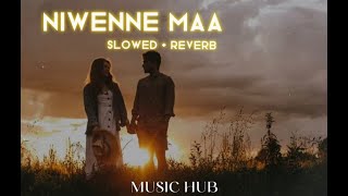 Pasinga Teshan  Niwenne Ma නිවෙන්නේ මා Slowed  Reverb [upl. by Adnamahs]