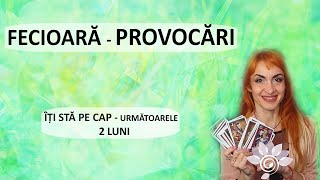 FECIOARĂ Ce PROVOCĂRI apar în următoarele 2 luni Zodii de PĂMÂNT Tarot [upl. by Bullion]