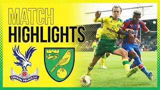 HIGHLIGHTS  Crystal Palace 20 Norwich City [upl. by Tan813]