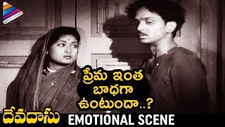 Savitri amp ANR Emotional Scene  Devadasu Telugu Movie  ANR  Mahanati Savitri  Telugu FilmNagar [upl. by Patsy49]