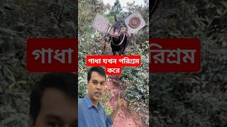 গাধা যখন পরিশ্রম করে shorts shortvideo shortsfeed short subscribe trending donkey [upl. by Atela]