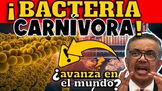 ¡BACTERIA MORTAL AVANZA EN EL MUNDO JAPÓN ENCIENDE ALERTA SANITARIA [upl. by Lokkin]