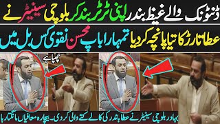 Balouchi Senator Vs Dentonic ڈنٹونک اپنی ٹر ٹر بند کر بلوچی سینیٹر نے عطا تارڑ کی چھترول کر دی ۔۔ [upl. by Aneela]