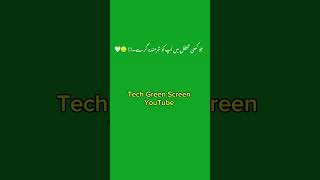 Hazrat Ali R ny farmaya Green screen peer ajmal ali shah urdustatus techgreenscreen [upl. by Seamus]