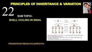 Maternal Effect Shell coiling in snail Lymnaea peregra [upl. by Liuka393]