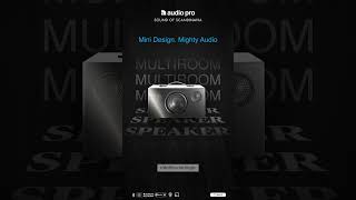 Multiroom Audio  Mini Design Mighty Audio [upl. by Chaffinch]