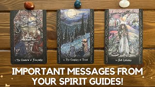 Important Messages From Your Spirit Guides ✨ 🫔 😇 ✨  Timeless Reading [upl. by Eittam]